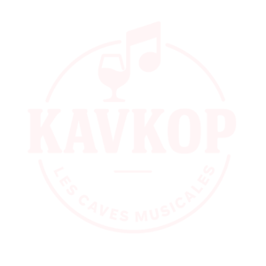 openning inauguration Kavkop les caves musicales salle réception soirée concert pont saint esprit gard france rock metal techno psytrance disco funk privatisation